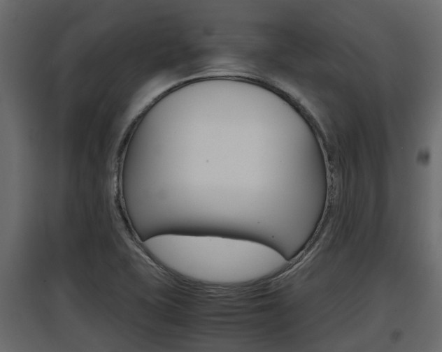 X0000097801415200803140726