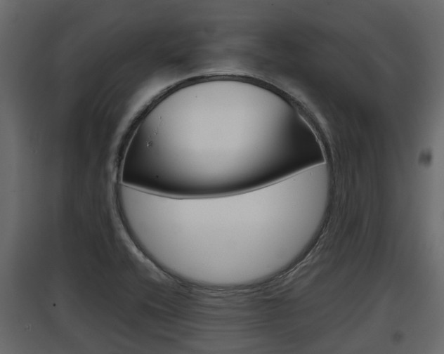 X0000097801416200803140726