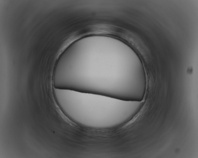 X0000097801417200803140726
