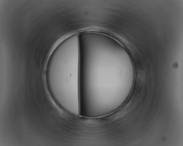 X0000097801418200803140726