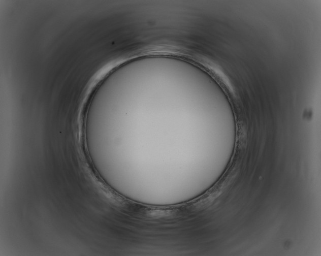 X0000097801419200803140726