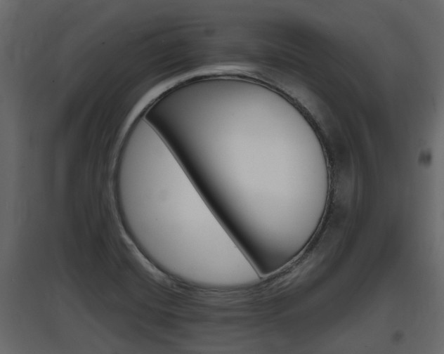 X0000097801420200803140726