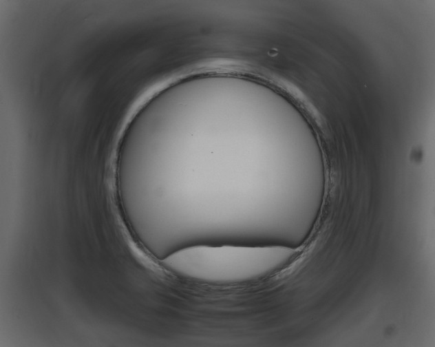 X0000097801421200803140726