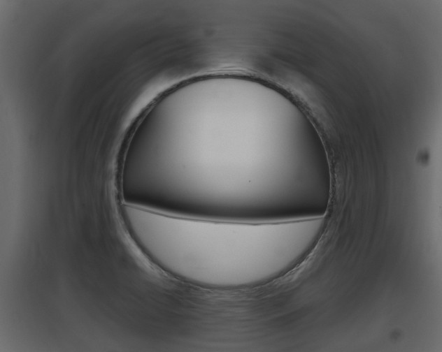 X0000097801422200803140726
