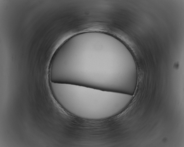 X0000097801423200803140726