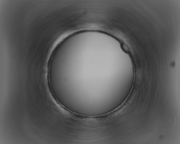 X0000097801424200803140726
