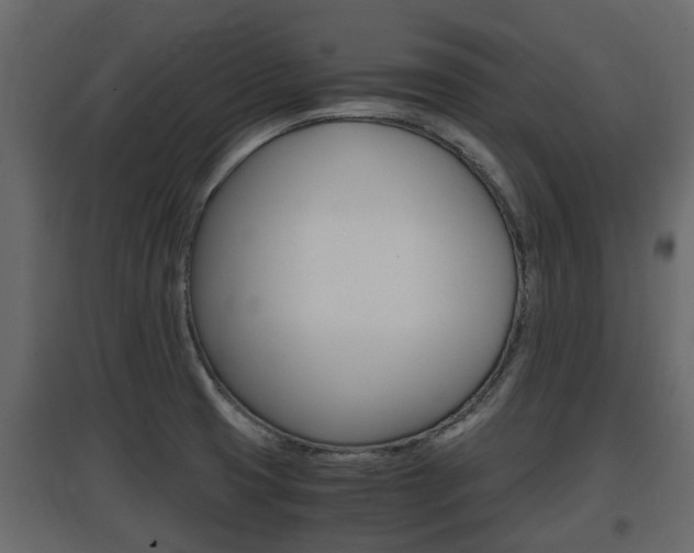X0000097801425200803140726