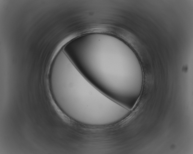 X0000097801426200803140726