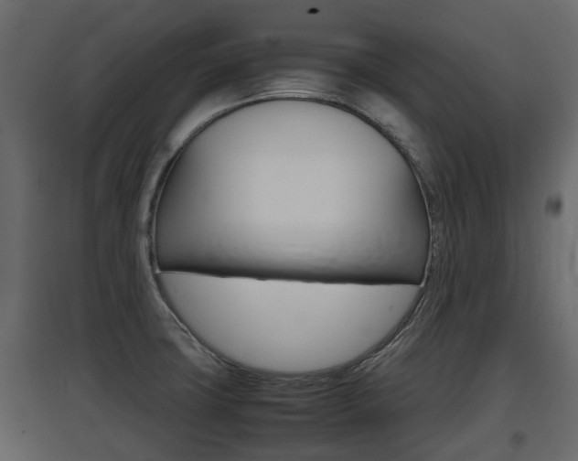 X0000097801427200803140726