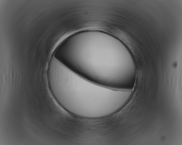 X0000097801428200803140726