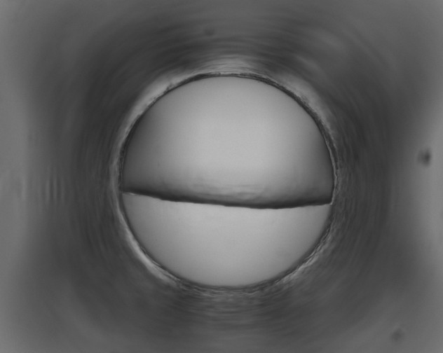 X0000097801429200803140726