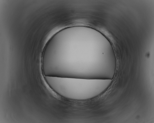 X0000097801431200803140726
