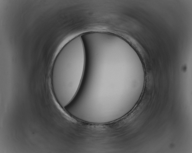 X0000097801432200803140726