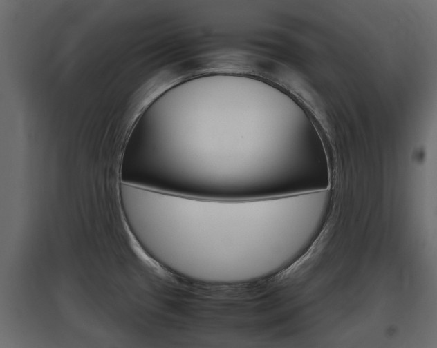 X0000097801433200803140726