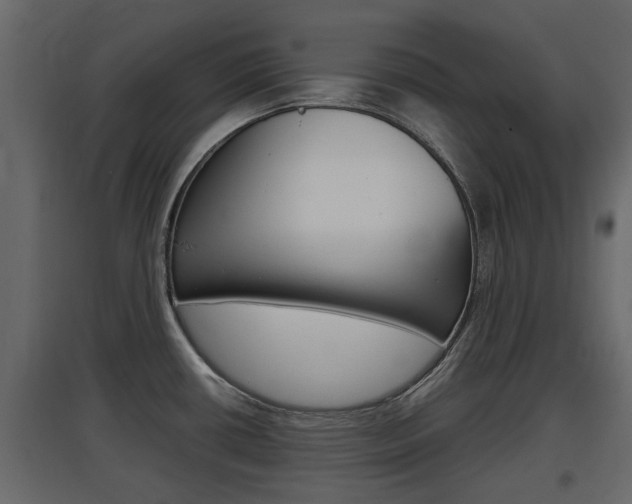 X0000097801434200803140726