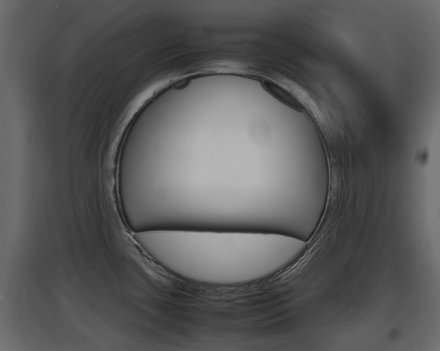 X0000097801435200803140726