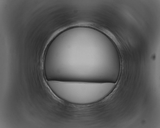X0000097801436200803140726