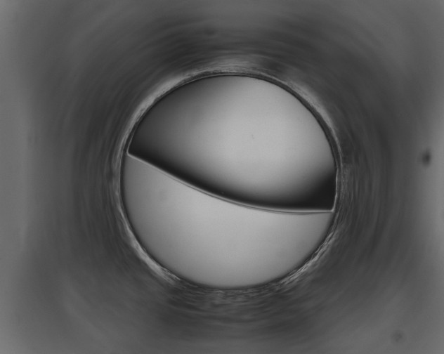X0000097801437200803140726