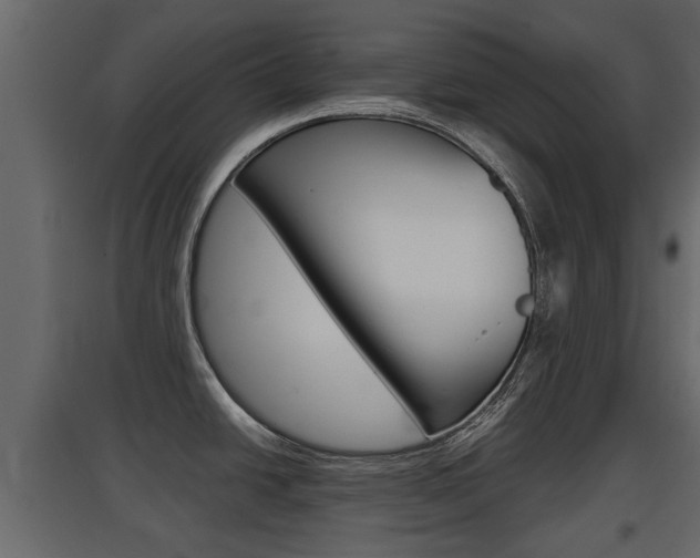 X0000097801438200803140726