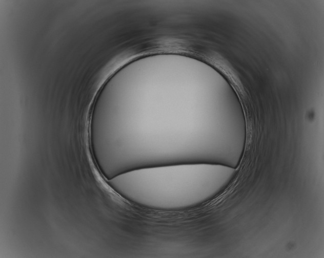 X0000097801439200803140726