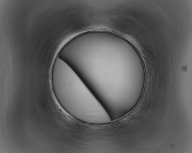 X0000097801440200803140726