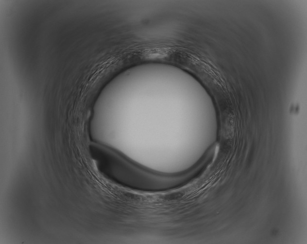 X0000097801441200803140725