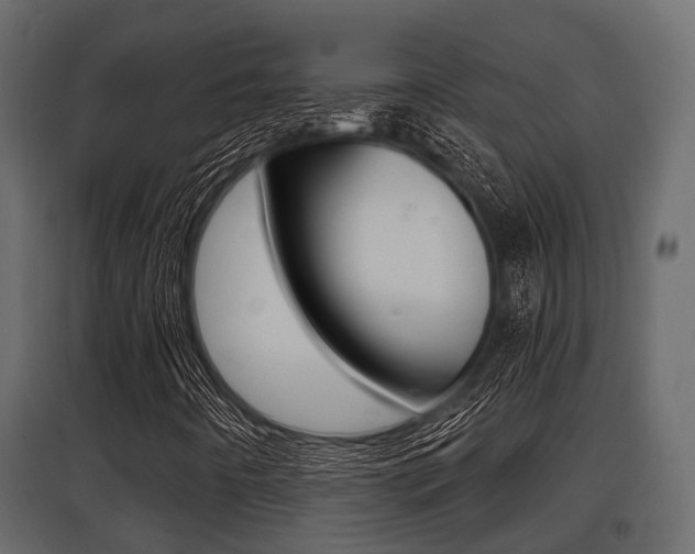 X0000097801442200803140725