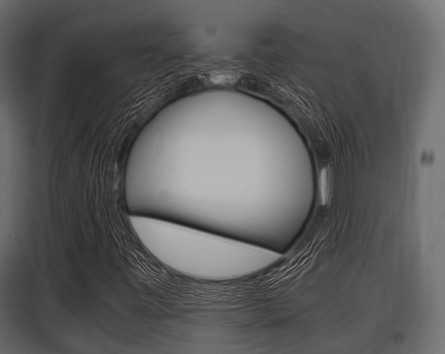 X0000097801443200803140725
