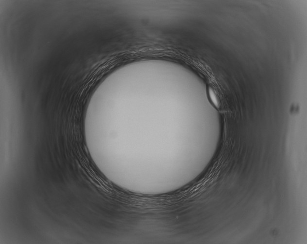 X0000097801444200803140725