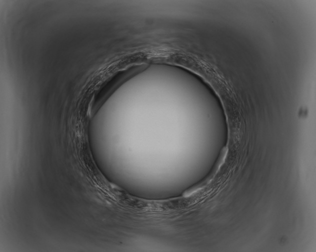 X0000097801445200803140725