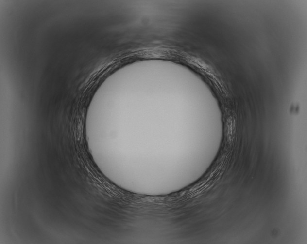 X0000097801446200803140725
