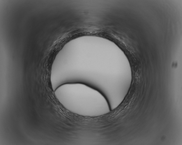 X0000097801447200803140725