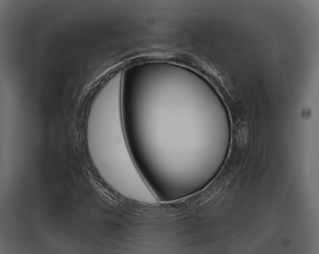 X0000097801448200803140725
