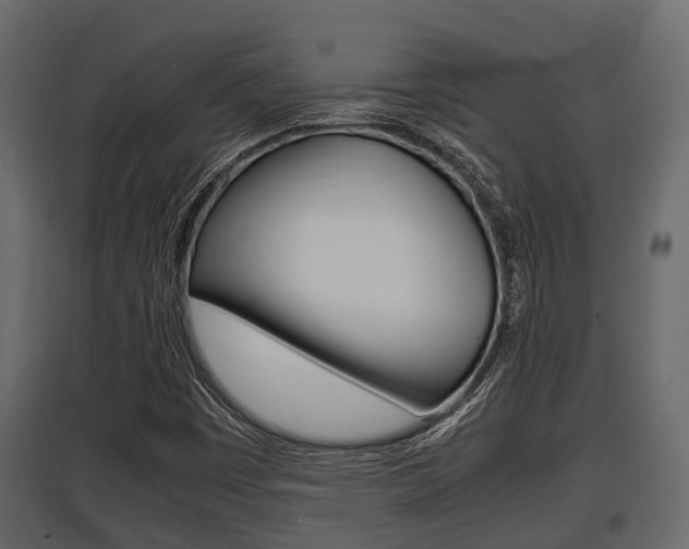 X0000097801449200803140725