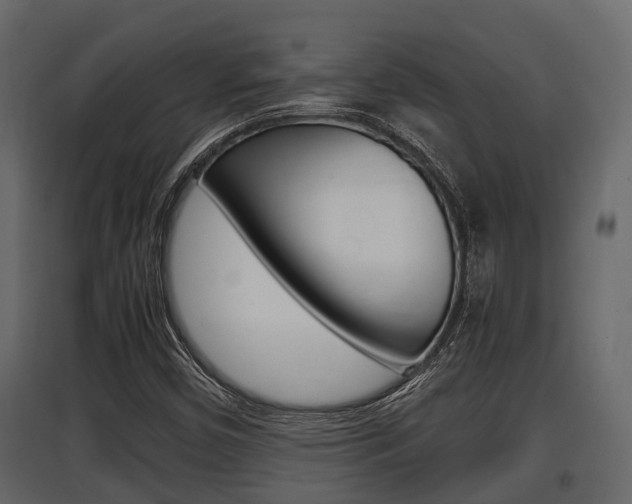 X0000097801450200803140725