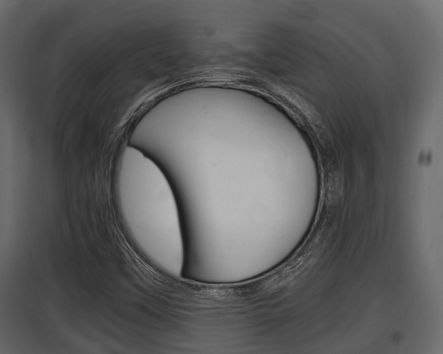 X0000097801451200803140725