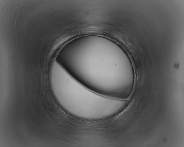 X0000097801453200803140725