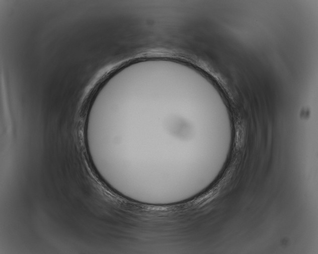 X0000097801454200803140725