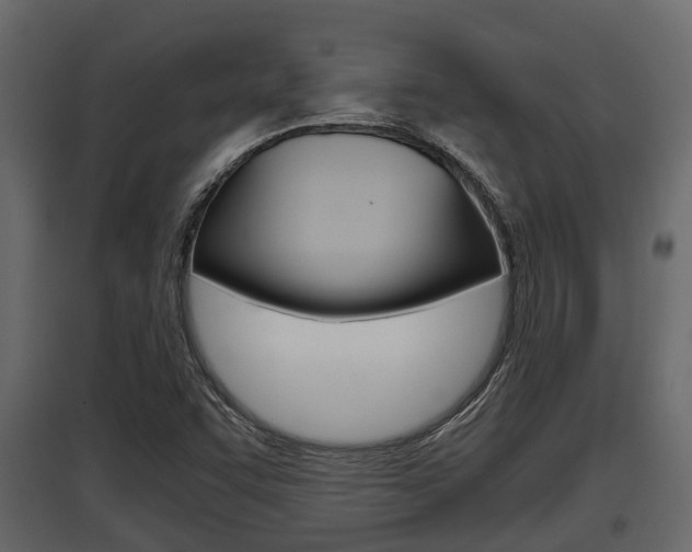 X0000097801455200803140725