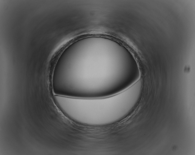 X0000097801456200803140725