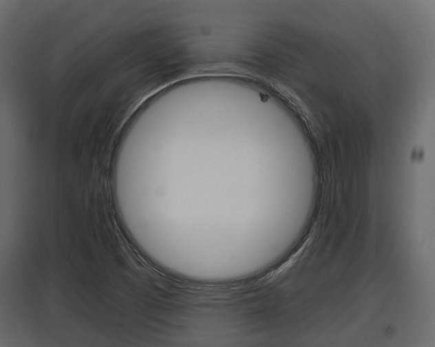 X0000097801457200803140725