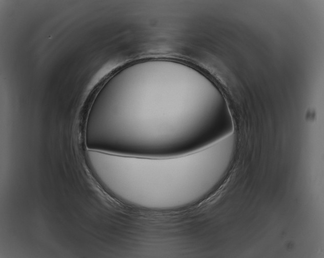 X0000097801458200803140725