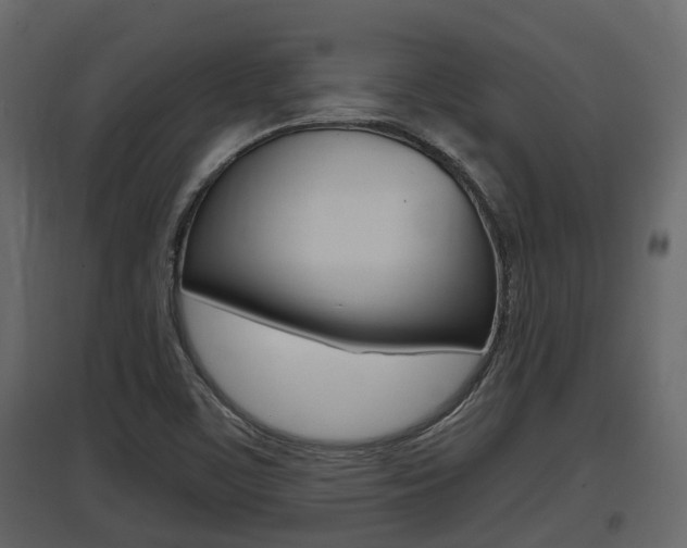 X0000097801459200803140725