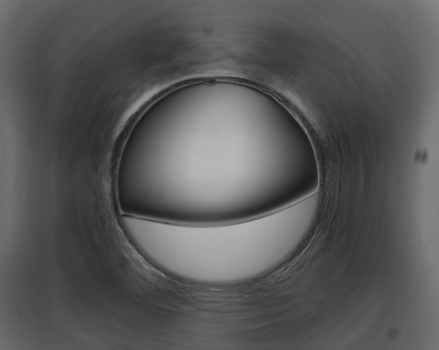 X0000097801460200803140725