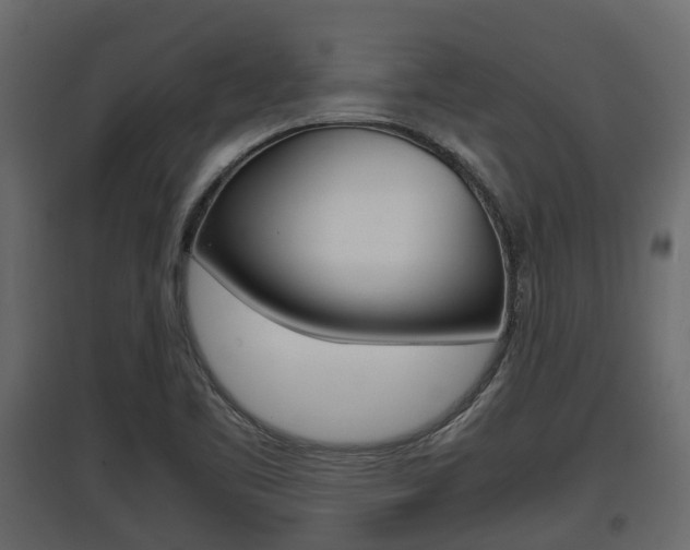 X0000097801461200803140725