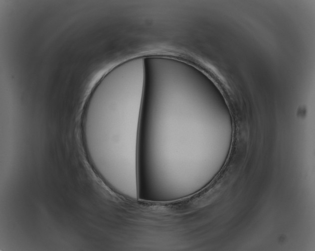 X0000097801463200803140725
