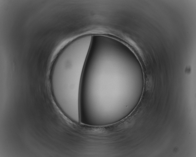 X0000097801464200803140725