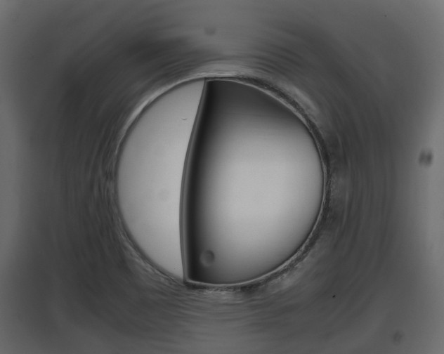 X0000097801465200803140725