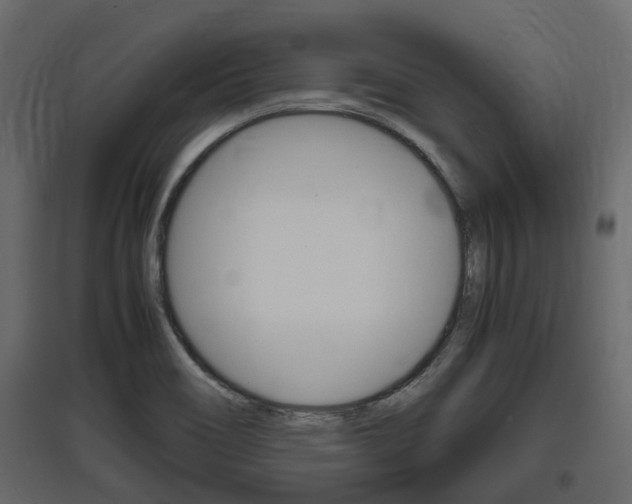 X0000097801466200803140725