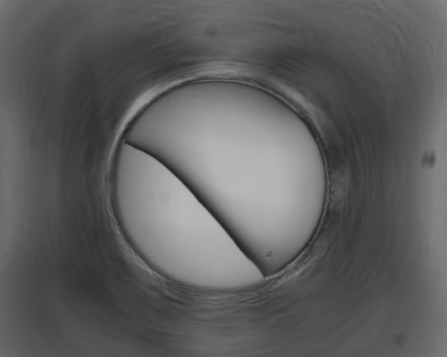 X0000097801467200803140725